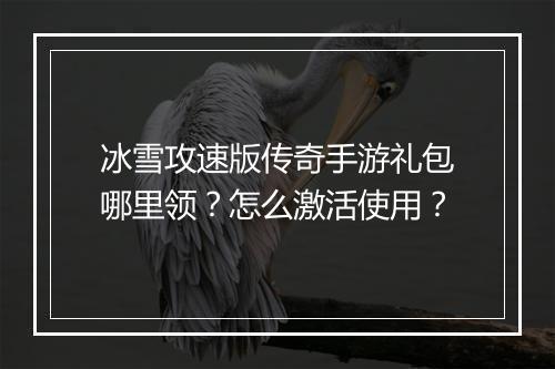 冰雪攻速版传奇手游礼包哪里领？怎么激活使用？