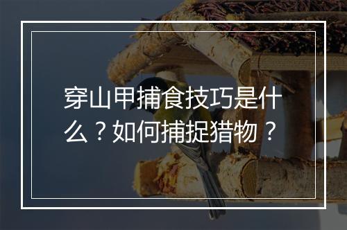 穿山甲捕食技巧是什么？如何捕捉猎物？