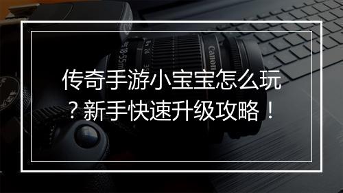 传奇手游小宝宝怎么玩？新手快速升级攻略！