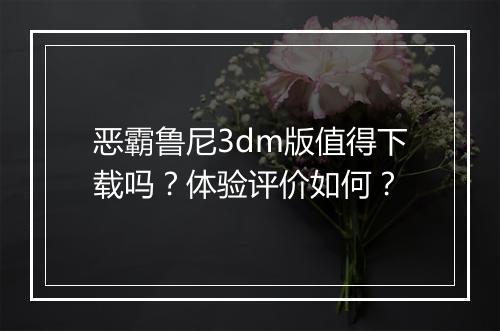 恶霸鲁尼3dm版值得下载吗？体验评价如何？