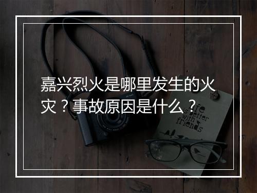 嘉兴烈火是哪里发生的火灾？事故原因是什么？