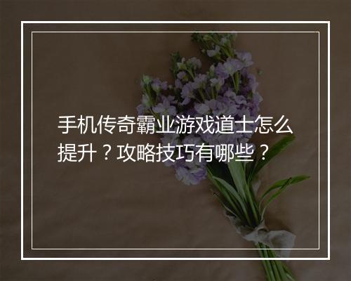 手机传奇霸业游戏道士怎么提升？攻略技巧有哪些？