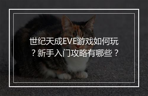 世纪天成EVE游戏如何玩？新手入门攻略有哪些？