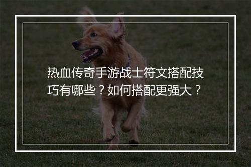 热血传奇手游战士符文搭配技巧有哪些？如何搭配更强大？