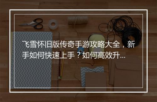 飞雪怀旧版传奇手游攻略大全，新手如何快速上手？如何高效升级？