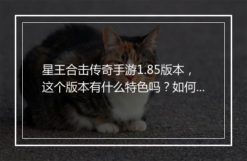 星王合击传奇手游1.85版本，这个版本有什么特色吗？如何体验？
