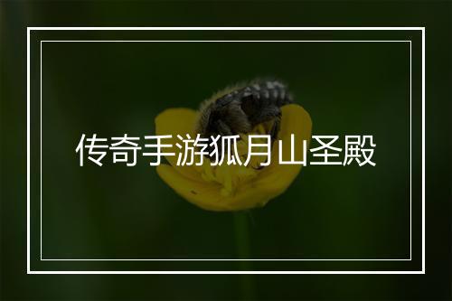 传奇手游狐月山圣殿