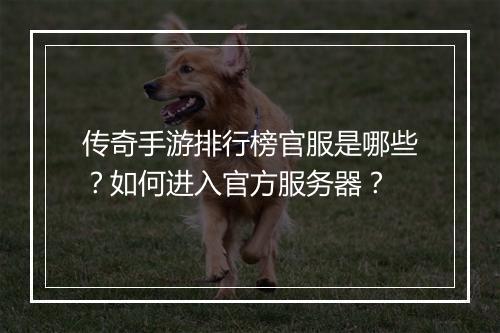 传奇手游排行榜官服是哪些？如何进入官方服务器？