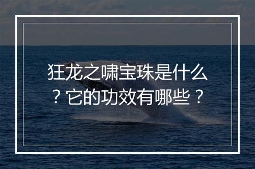 狂龙之啸宝珠是什么？它的功效有哪些？