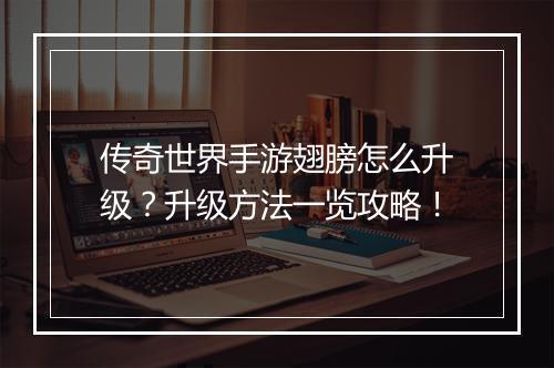传奇世界手游翅膀怎么升级？升级方法一览攻略！