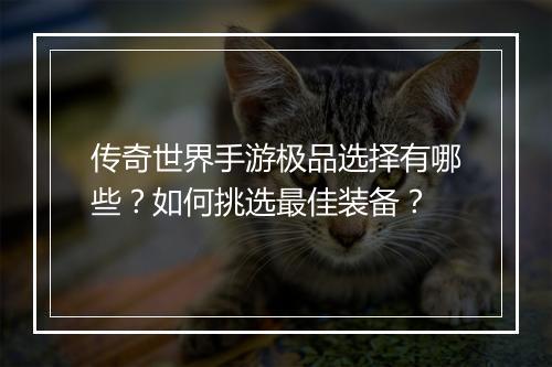 传奇世界手游极品选择有哪些？如何挑选最佳装备？