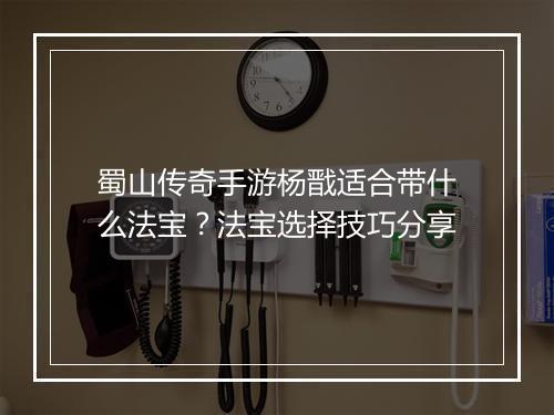 蜀山传奇手游杨戬适合带什么法宝？法宝选择技巧分享