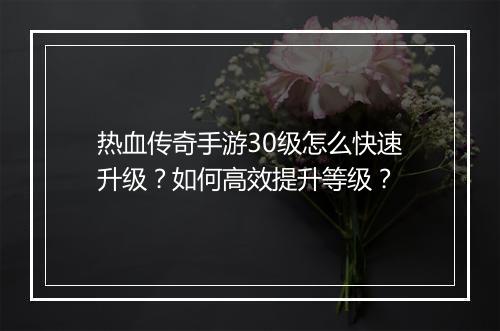 热血传奇手游30级怎么快速升级？如何高效提升等级？