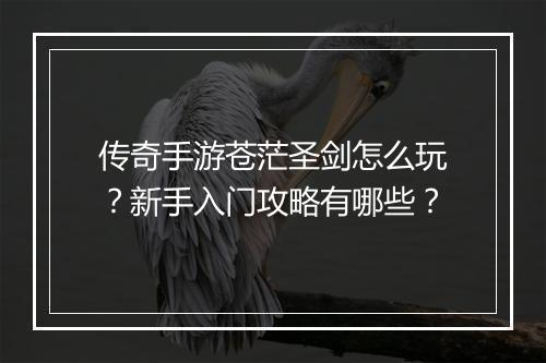 传奇手游苍茫圣剑怎么玩？新手入门攻略有哪些？