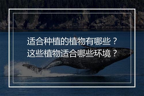 适合种植的植物有哪些？这些植物适合哪些环境？