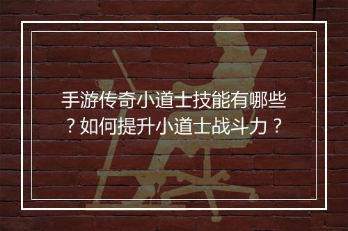 手游传奇小道士技能有哪些？如何提升小道士战斗力？