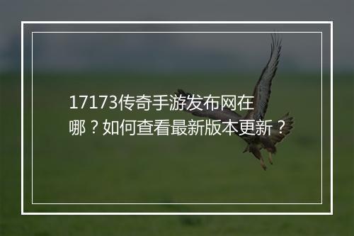 17173传奇手游发布网在哪？如何查看最新版本更新？