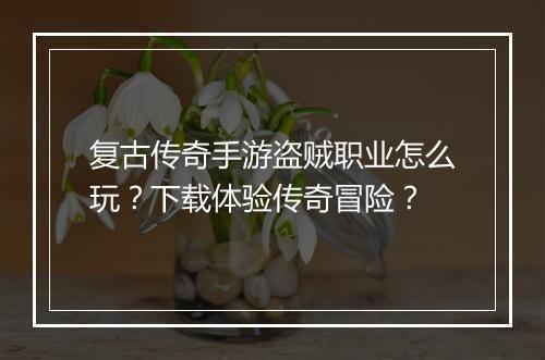 复古传奇手游盗贼职业怎么玩？下载体验传奇冒险？