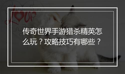 传奇世界手游猎杀精英怎么玩？攻略技巧有哪些？