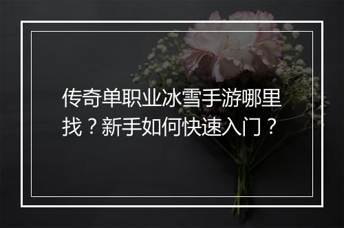 传奇单职业冰雪手游哪里找？新手如何快速入门？