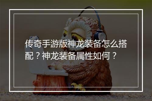 传奇手游版神龙装备怎么搭配？神龙装备属性如何？