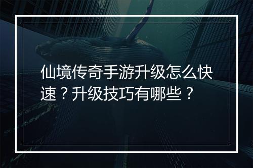 仙境传奇手游升级怎么快速？升级技巧有哪些？