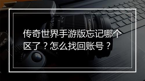 传奇世界手游版忘记哪个区了？怎么找回账号？