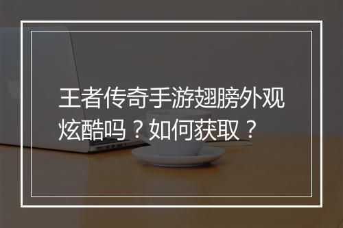 王者传奇手游翅膀外观炫酷吗？如何获取？