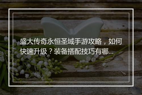 盛大传奇永恒圣域手游攻略，如何快速升级？装备搭配技巧有哪些？