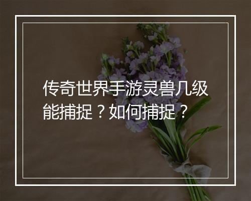 传奇世界手游灵兽几级能捕捉？如何捕捉？