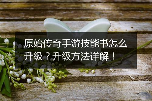 原始传奇手游技能书怎么升级？升级方法详解！