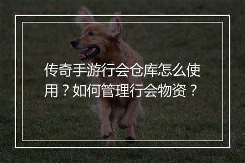 传奇手游行会仓库怎么使用？如何管理行会物资？