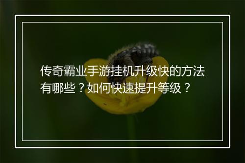 传奇霸业手游挂机升级快的方法有哪些？如何快速提升等级？