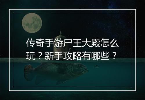 传奇手游尸王大殿怎么玩？新手攻略有哪些？