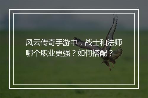 风云传奇手游中，战士和法师哪个职业更强？如何搭配？