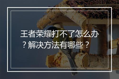 王者荣耀打不了怎么办？解决方法有哪些？