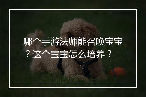 哪个手游法师能召唤宝宝？这个宝宝怎么培养？