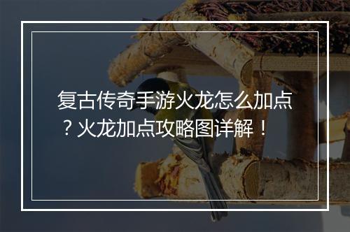 复古传奇手游火龙怎么加点？火龙加点攻略图详解！
