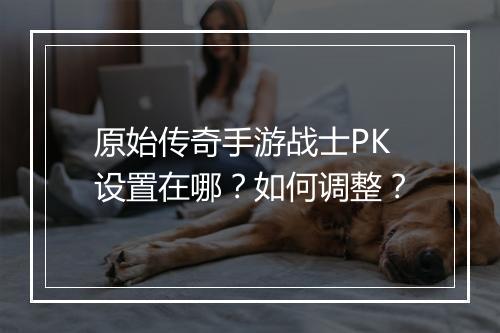 原始传奇手游战士PK设置在哪？如何调整？
