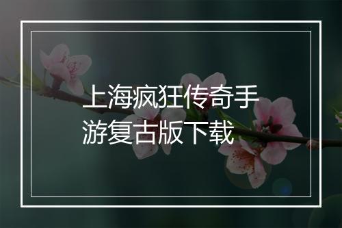 上海疯狂传奇手游复古版下载