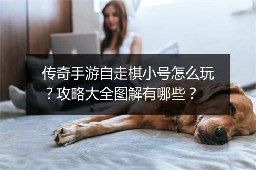 传奇手游自走棋小号怎么玩？攻略大全图解有哪些？