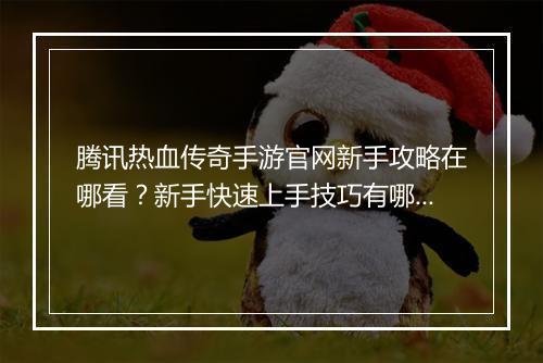 腾讯热血传奇手游官网新手攻略在哪看？新手快速上手技巧有哪些？