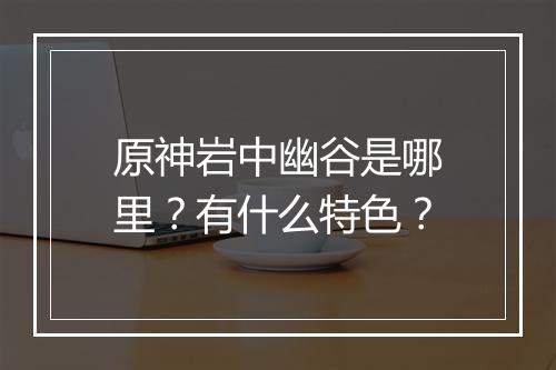原神岩中幽谷是哪里？有什么特色？