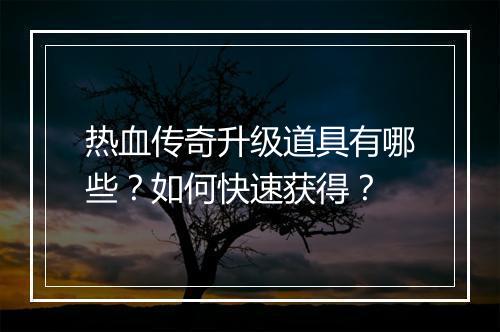 热血传奇升级道具有哪些？如何快速获得？