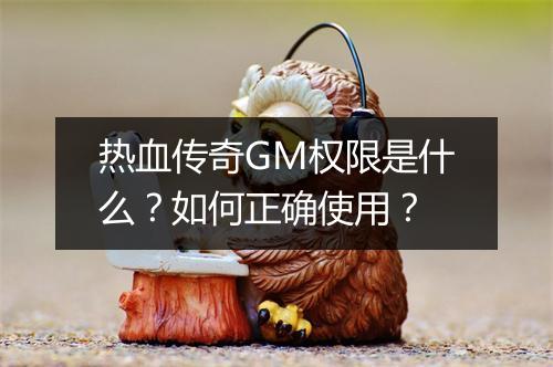 热血传奇GM权限是什么？如何正确使用？