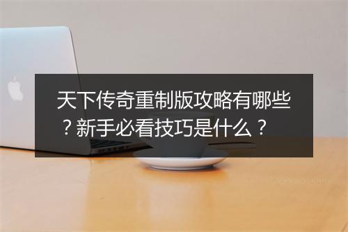 天下传奇重制版攻略有哪些？新手必看技巧是什么？