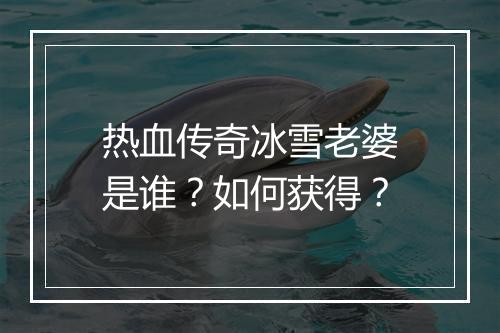 热血传奇冰雪老婆是谁？如何获得？