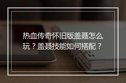 热血传奇怀旧版盖聂怎么玩？盖聂技能如何搭配？