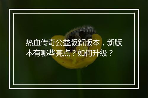热血传奇公益版新版本，新版本有哪些亮点？如何升级？