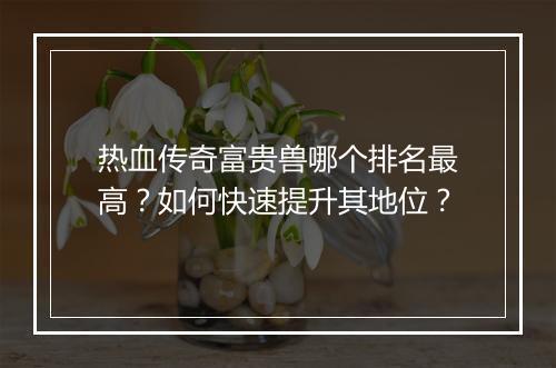 热血传奇富贵兽哪个排名最高？如何快速提升其地位？